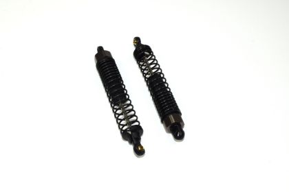 Shock Absorber complete f/r (2)