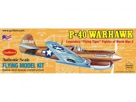 Свободно летящ самолет-кит P-40 WARHAWK